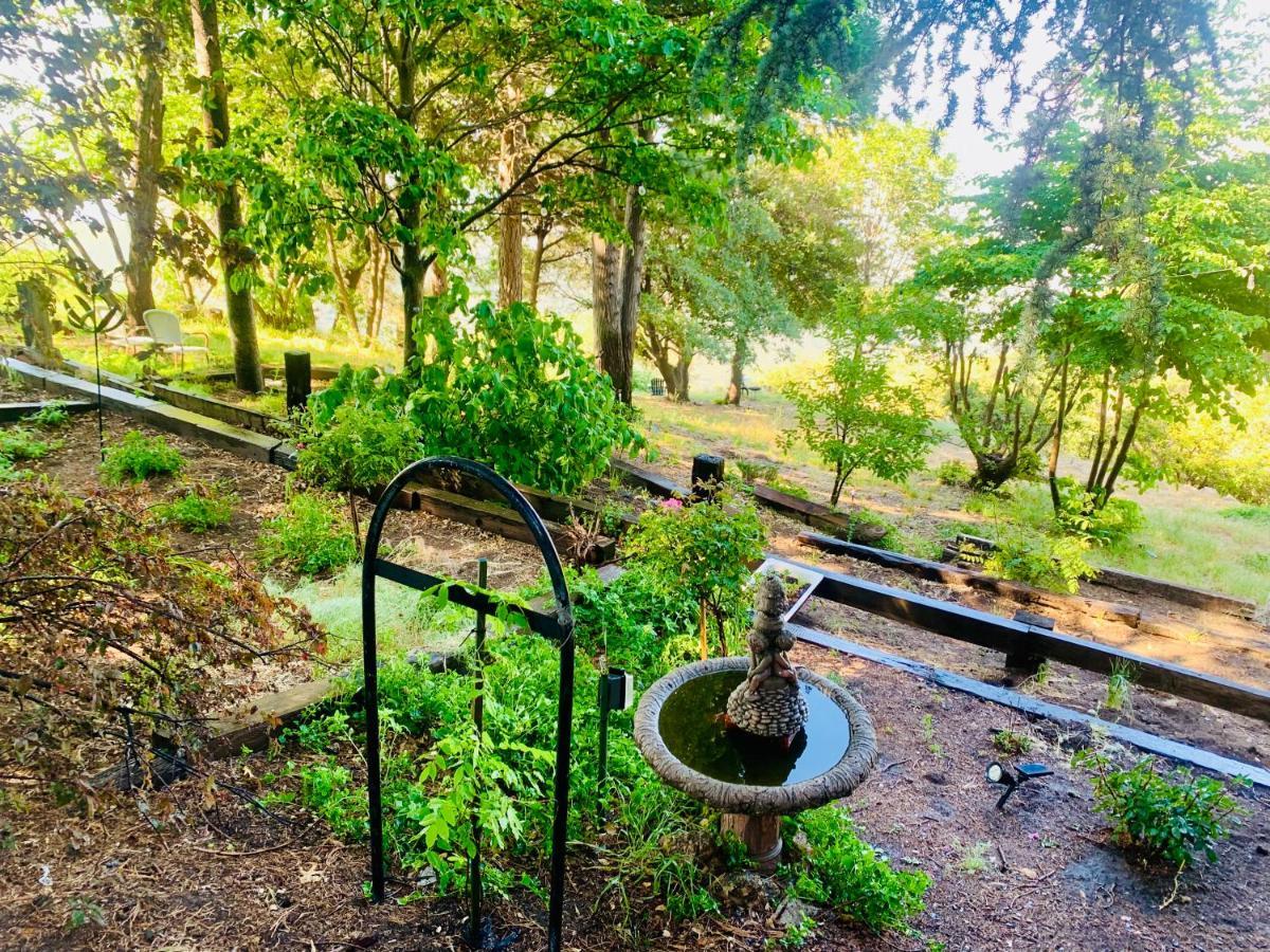 100 Mile View-Fire Pit, Romantic, Peaceful, Private Crestline Eksteriør bilde