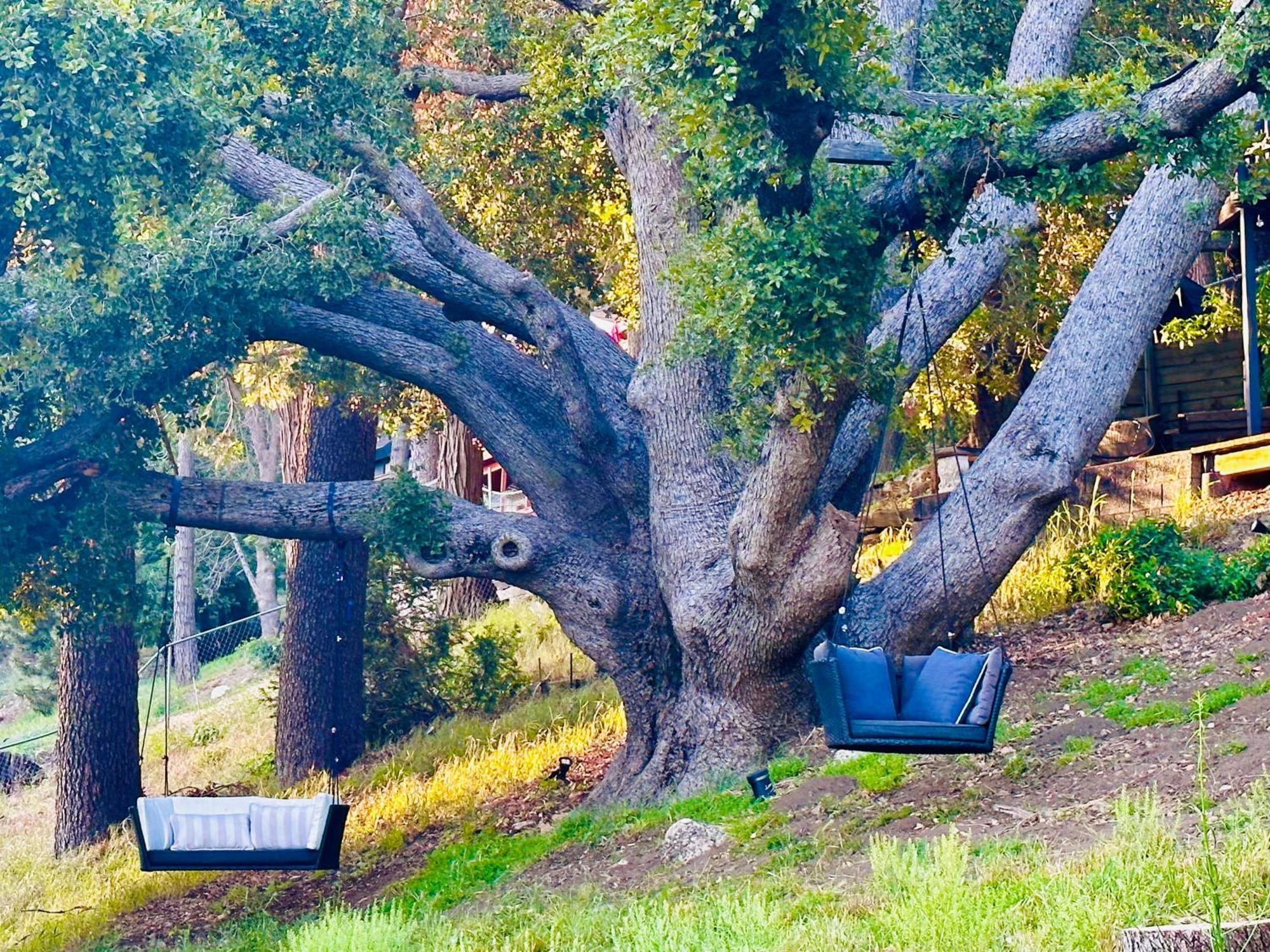 100 Mile View-Fire Pit, Romantic, Peaceful, Private Crestline Eksteriør bilde
