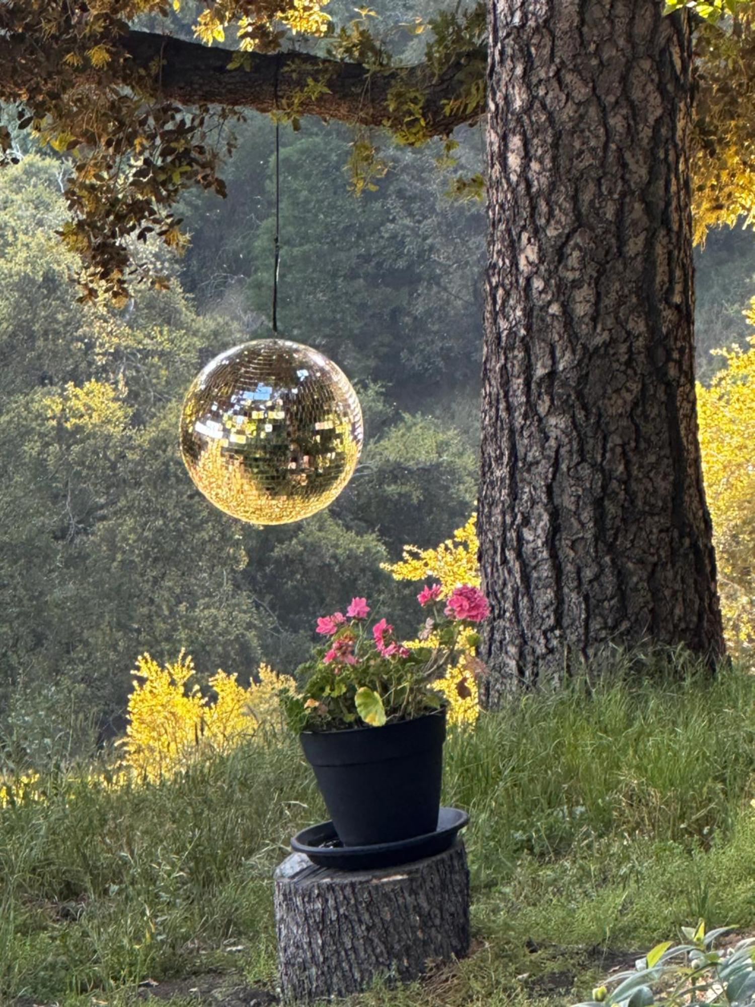 100 Mile View-Fire Pit, Romantic, Peaceful, Private Crestline Eksteriør bilde
